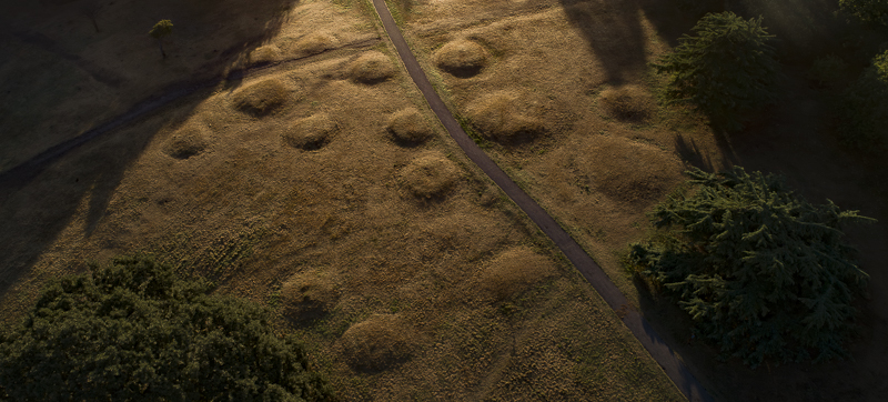 Saxon mounds Greenwich Park 2018